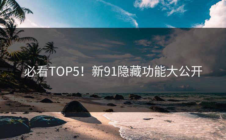 必看TOP5！新91隐藏功能大公开