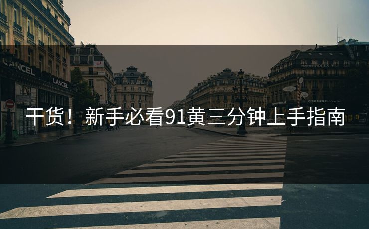 干货！新手必看91黄三分钟上手指南