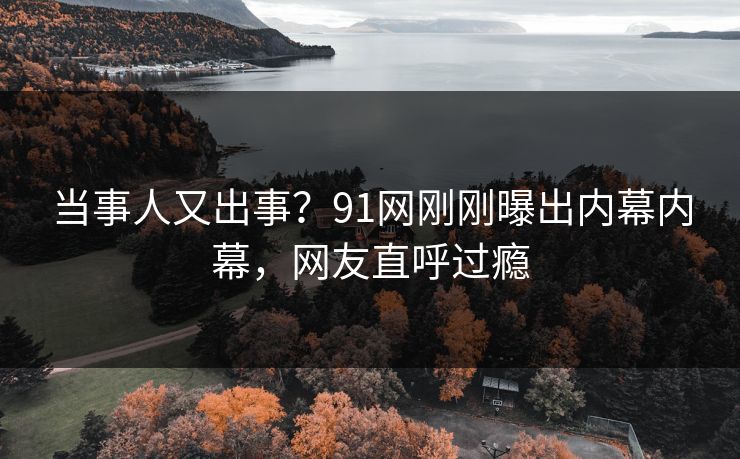 当事人又出事？91网刚刚曝出内幕内幕，网友直呼过瘾