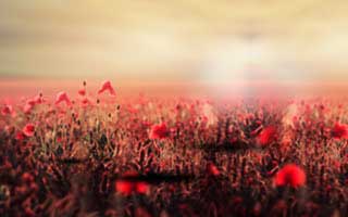 详细阅读:如果你只想做一件事:先把51网网址的节奏切点做稳(看完你就懂) 如果你只想做一件事:先把51网网址的节奏切点做稳(看完你就懂)