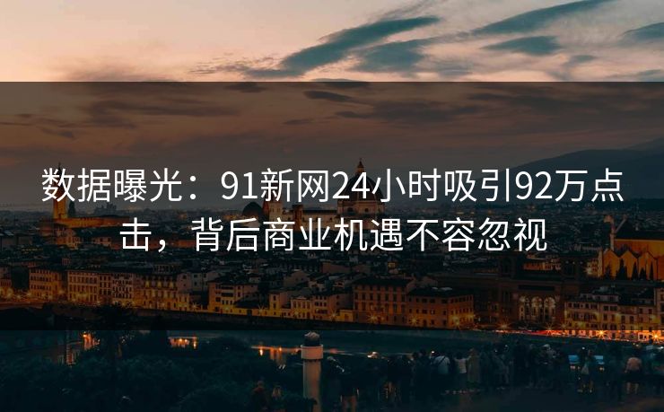 数据曝光：91新网24小时吸引92万点击，背后商业机遇不容忽视