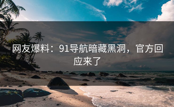 网友爆料：91导航暗藏黑洞，官方回应来了