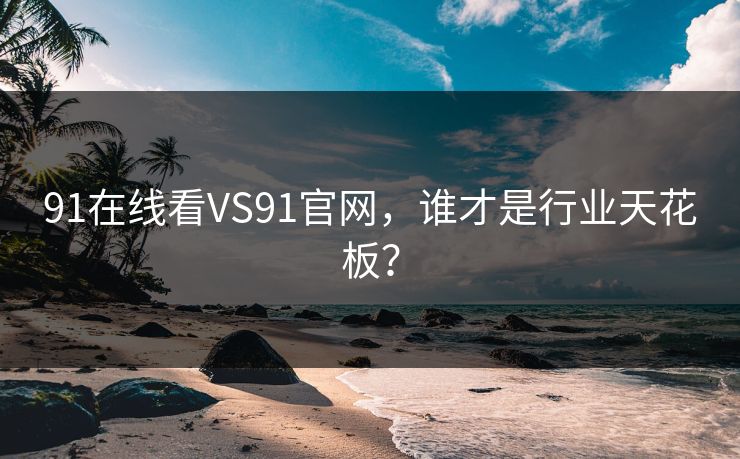 91在线看VS91官网，谁才是行业天花板？