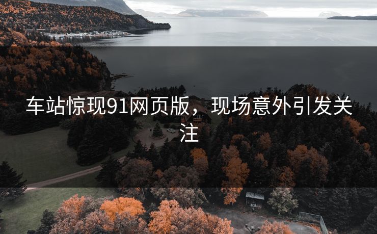 车站惊现91网页版，现场意外引发关注