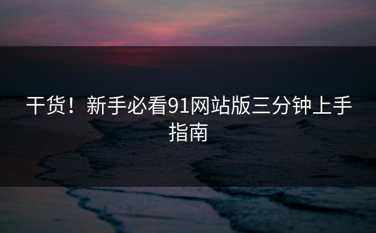 干货！新手必看91网站版三分钟上手指南