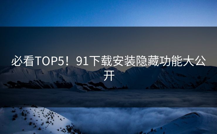 必看TOP5！91下载安装隐藏功能大公开